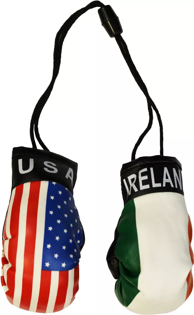 USA Ireland Mini Boxing Gloves