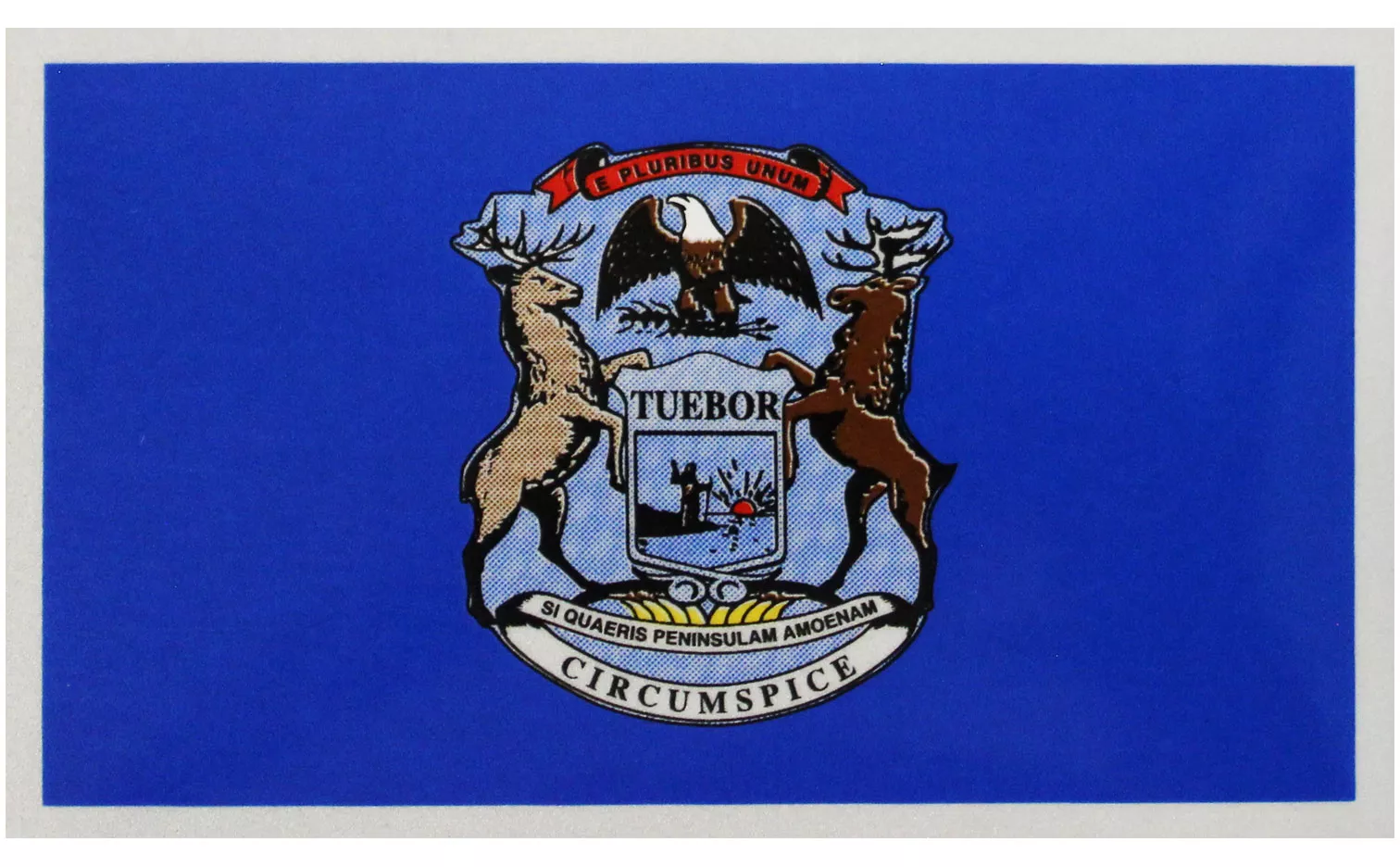 Michigan Flag Auto Decal