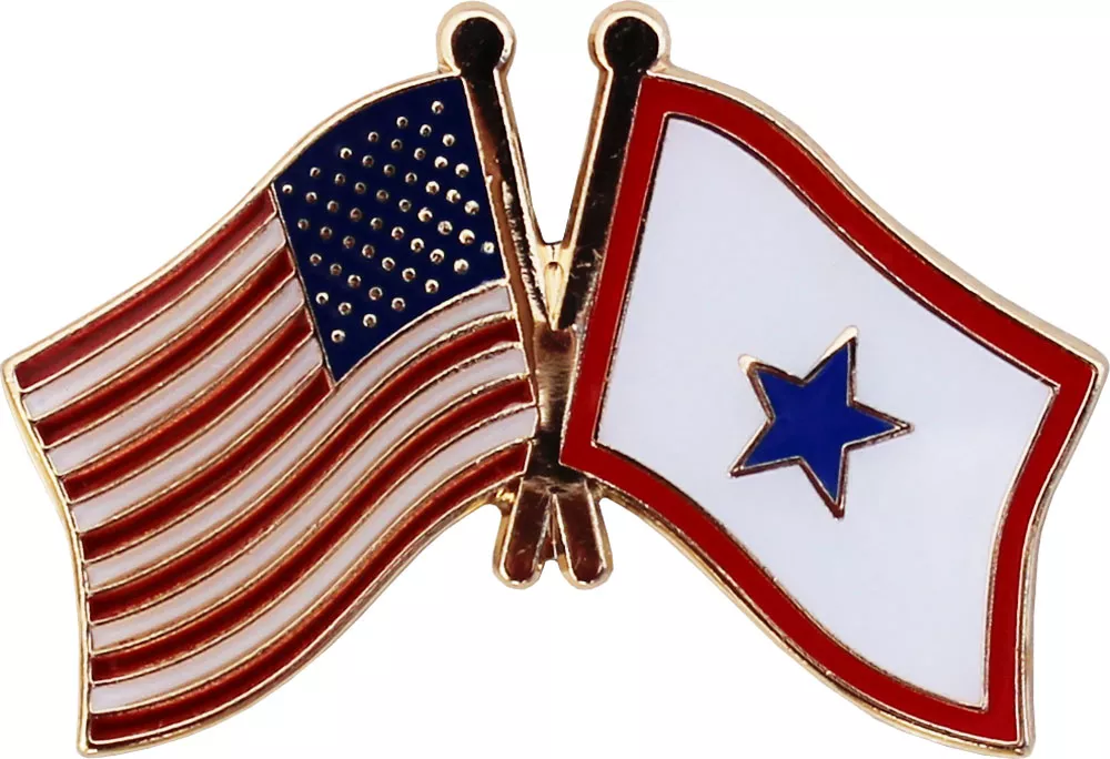 Service Banner Flag Friendship Lapel Pin