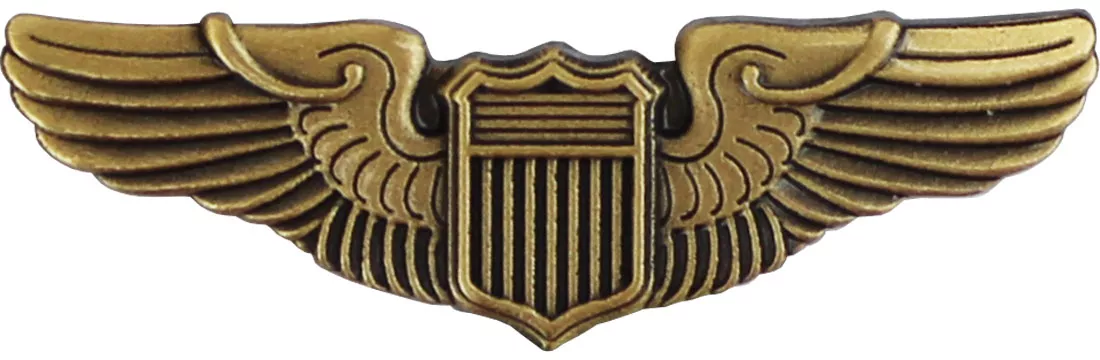 Air Force Basic Pilot Wing Lapel Pin