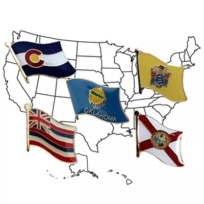 50 US States - Single Flag Lapel Pin Set