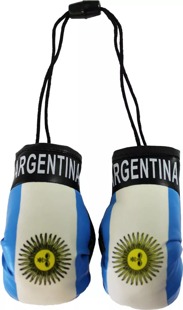 Argentina Mini Boxing Gloves