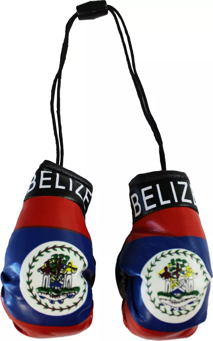 Belize Mini Boxing Gloves