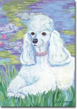 Poodle Art Banner - Bonet
