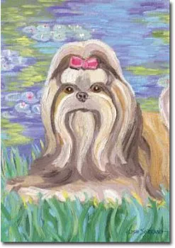 Shih Tzu Art Banner - Bonet