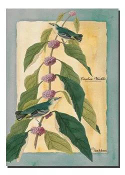 Cerulean Warbler Toland Art Banner