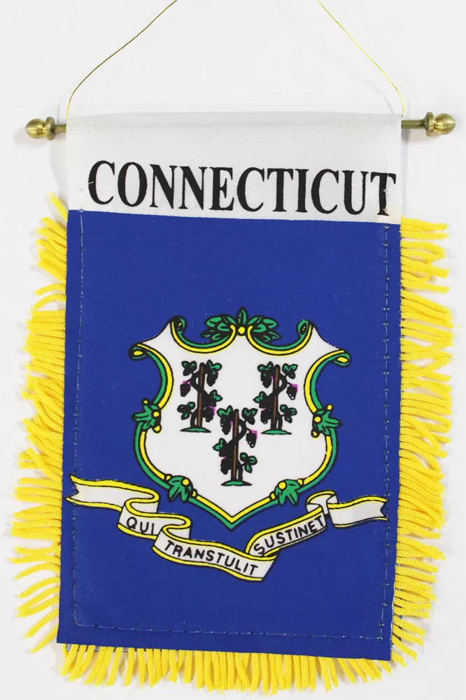 Connecticut Window Hanging Flag