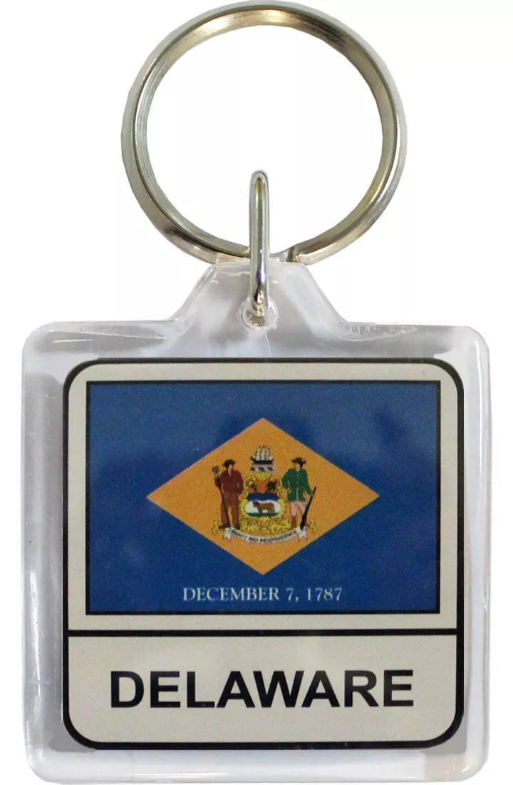Delaware Keyring