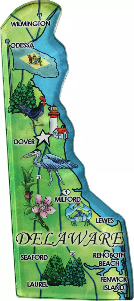 Delaware Acrylic State Map Magnet