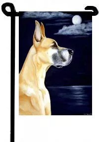 Great Dane (Moonlight Destiny) - 11"x15" 2-Sided Garden Banner