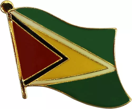 Guyana Flag Lapel Pin