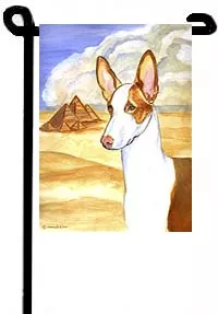 Ibizan Hound - 11"x15" 2-Sided Garden Banner