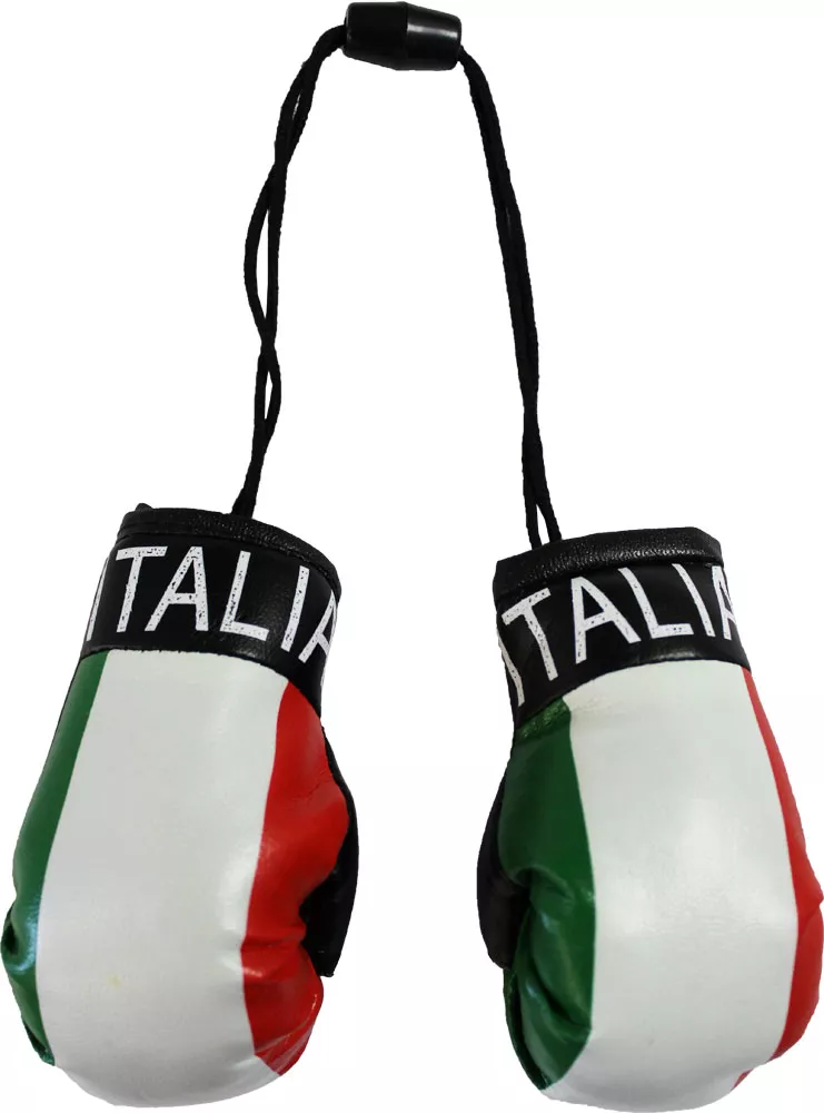 Italy (Italia) Mini Boxing Gloves 