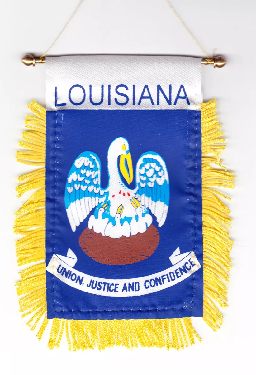 Louisiana Window Hanging Flag