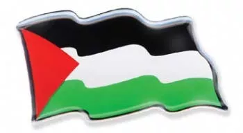Palestine Wavy Domed Sticker