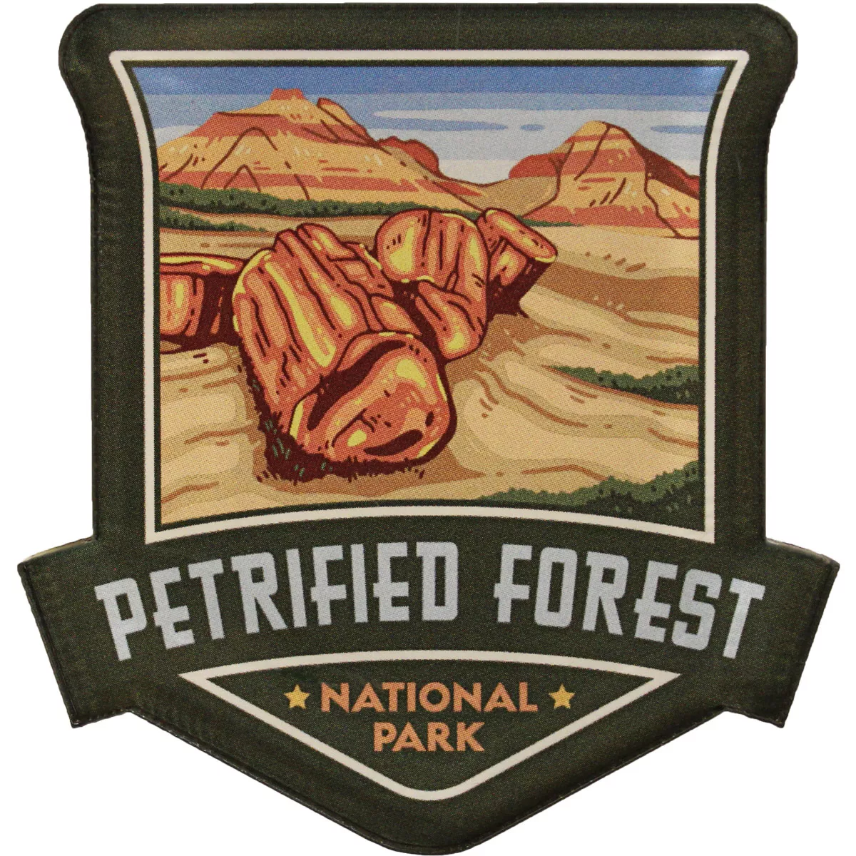 Petrified Forest National Park Acrylic Magnet