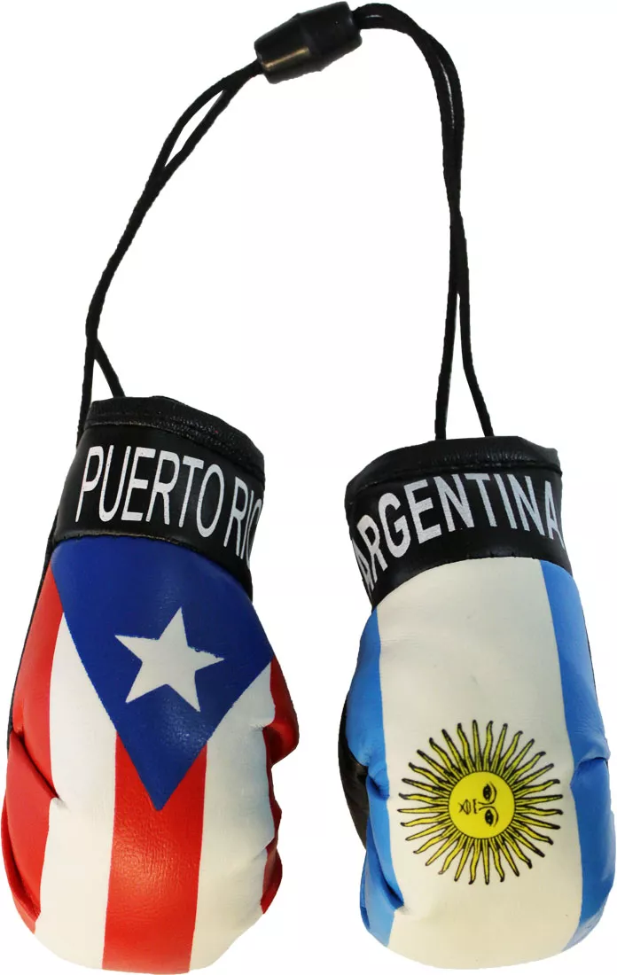 Puerto Rico and Argentina Mini Boxing Gloves