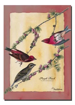 Purple Finch Toland Art Banner