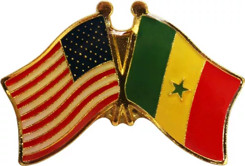 Senegal Friendship Pin
