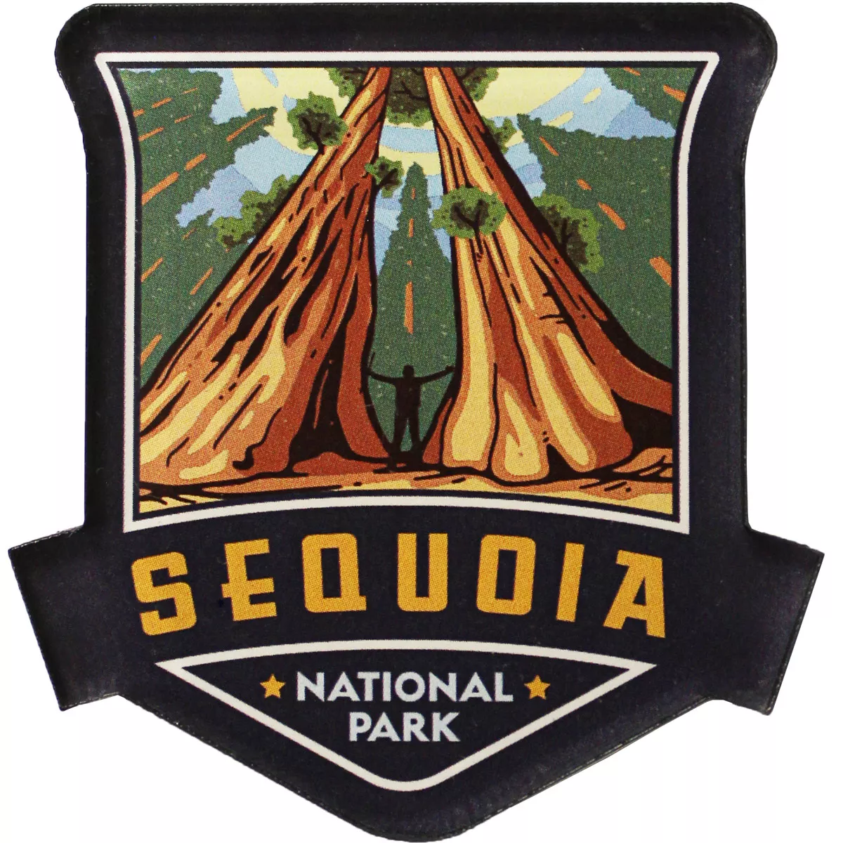 Sequoia National Park Acrylic Magnet
