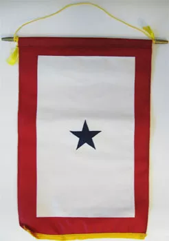 Service Banner (One Star) - 12" x 18" Nylon Banner