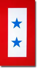 Service Banner (Two Star) -  3" x 5.5" Magnet