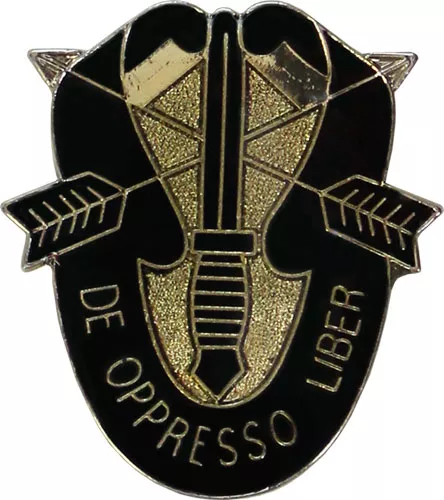 Special Forces Lapel Pin
