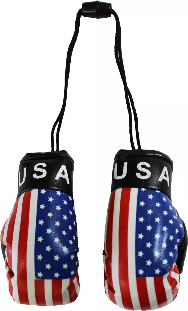 USA Mini Boxing Gloves