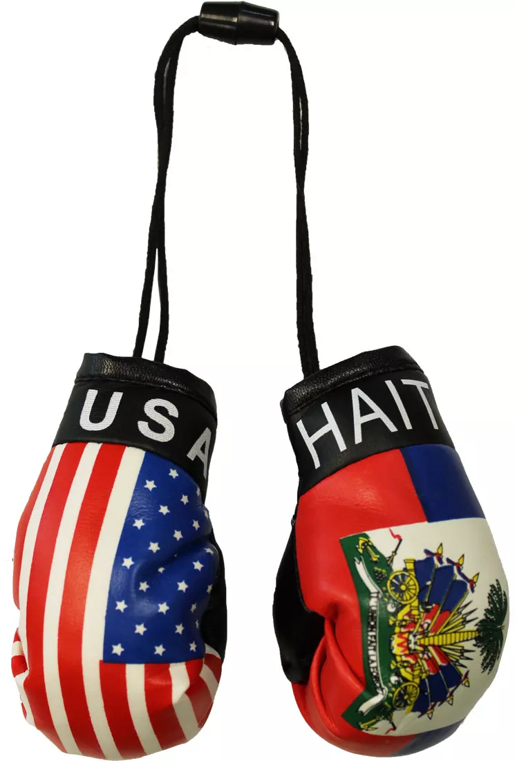 USA and Haiti Mini Boxing Gloves