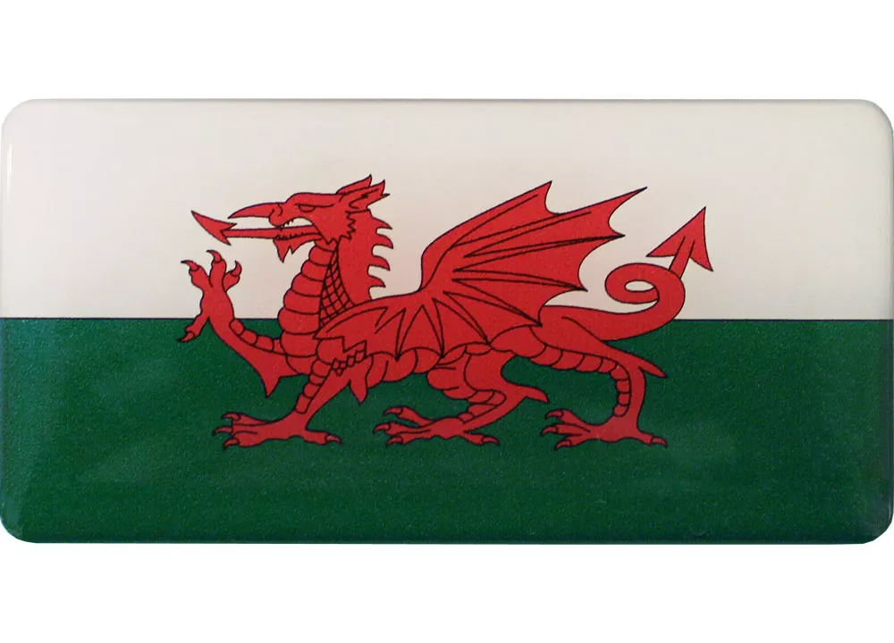 Wales Domed Sticker