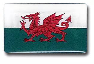 Wales Mini Domed Sticker