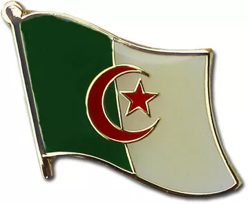Algeria Flag Lapel Pin