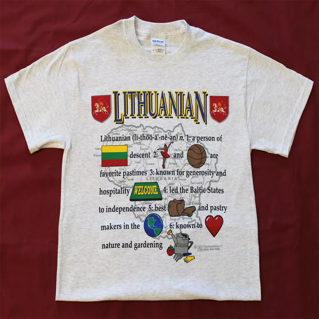 Lithuania Definition T-Shirt - S, Gray, Ash