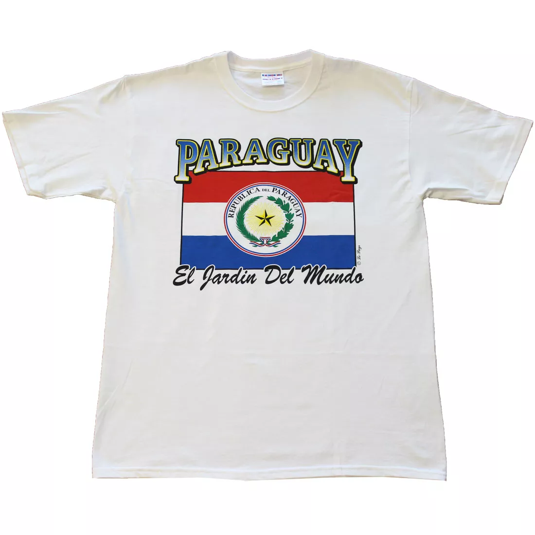 Paraguay (1957-1970) International T-Shirt - M, White