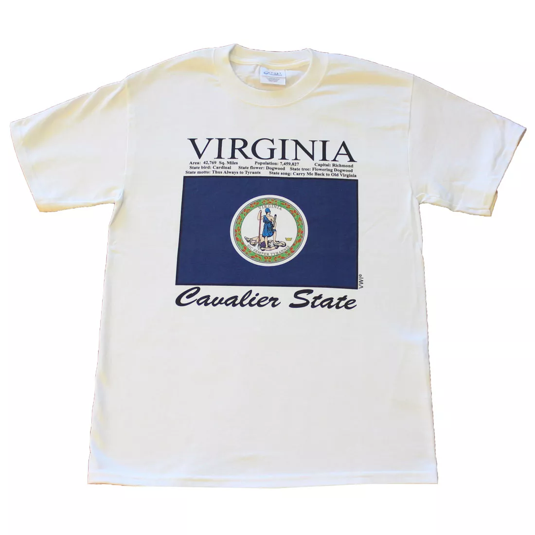 Virginia State T-Shirt - S, White