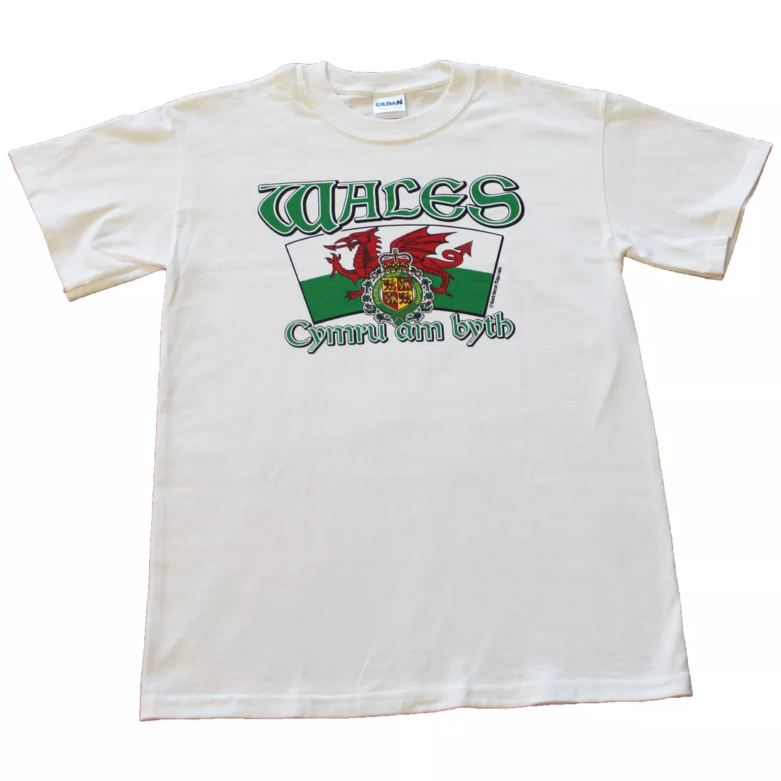 Wales International T-Shirt - S, White