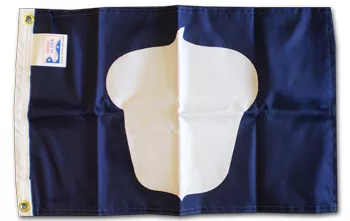 Treasurer - 24"x36" Nylon Flag - Nylon, Without Fringe, Grommets, Sewn