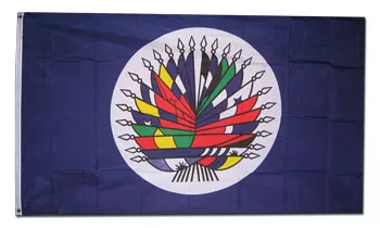 Organization of American States (OAS) - 3'X5'  Polyester Flag - Lightweight Polyester, 3' x 5', Without Fringe, Grommets