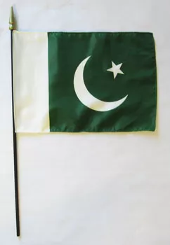 Pakistan - 8"X12" Stick Flag - 8" x 12", Without Fringe