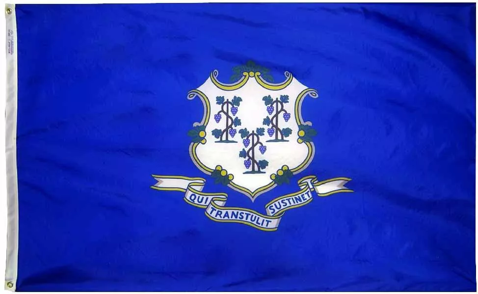 Connecticut - 5'X8' Nylon Flag - Nylon, Without Fringe, Grommets, Dyed
