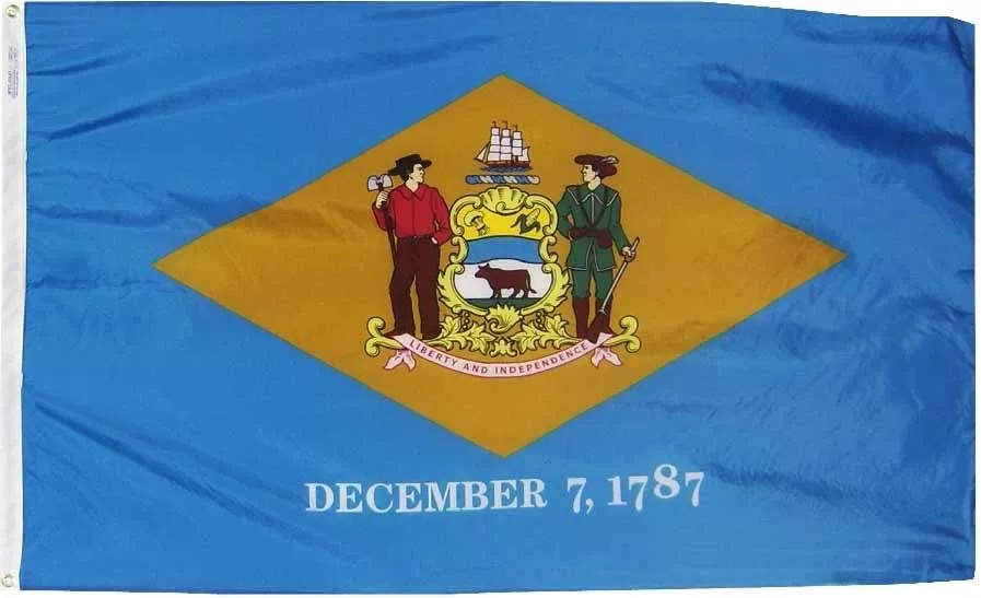 Delaware - 6'X10' Nylon Flag - Nylon, 6' x 10', Without Fringe, Grommets, Dyed