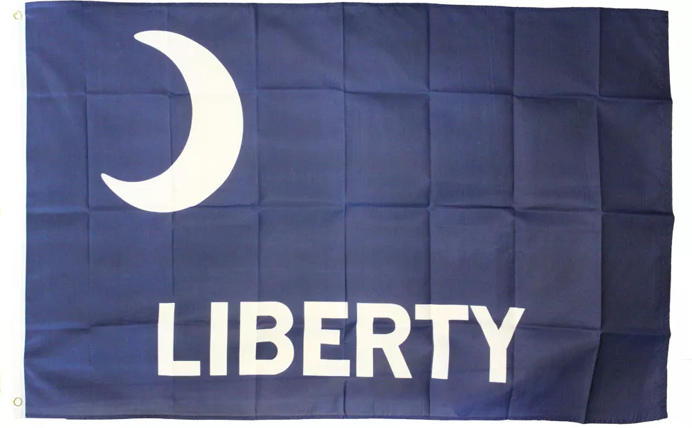 Fort Moultrie - 3'X5' Polyester Flag - Lightweight Polyester, 3' x 5', Without Fringe, Grommets