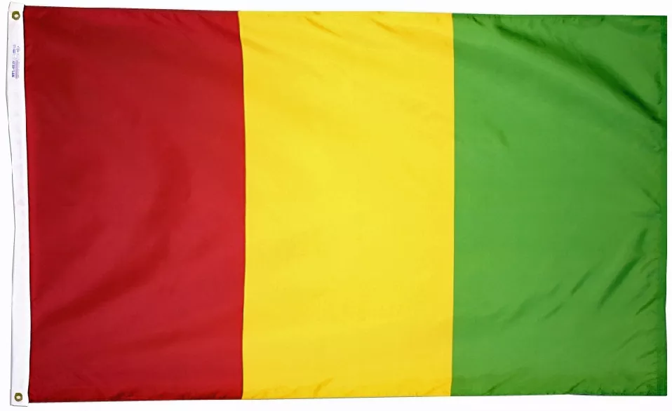 Guinea - 5'X8' Nylon Flag - Nylon, Without Fringe, Grommets