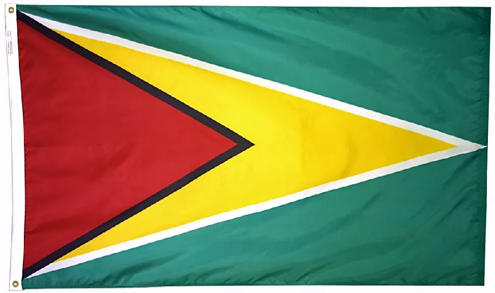 Guyana - 2'X3' Nylon Flag - Nylon, Without Fringe, Grommets