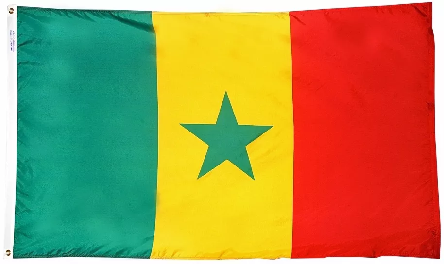 Senegal - 5'X8' Nylon Flag - Nylon, Without Fringe, Grommets