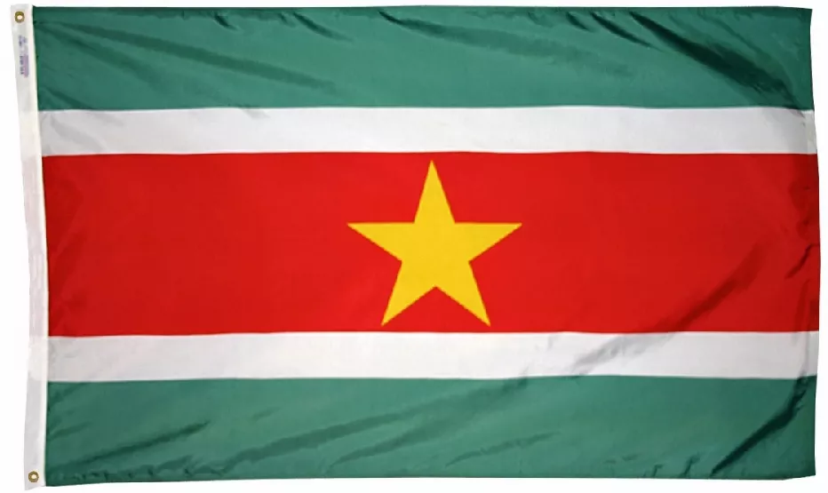 Suriname - 3'X5' Nylon Flag - Nylon, 3' x 5', Without Fringe, Grommets