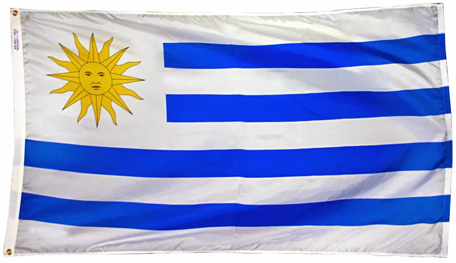 Uruguay - 5'X8' Nylon Flag - Nylon, Without Fringe, Grommets