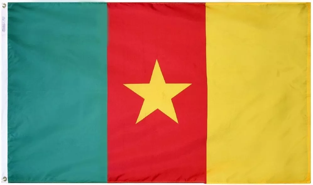 Cameroon - 3'X5' Nylon Flag - Nylon, 3' x 5', Without Fringe, Grommets