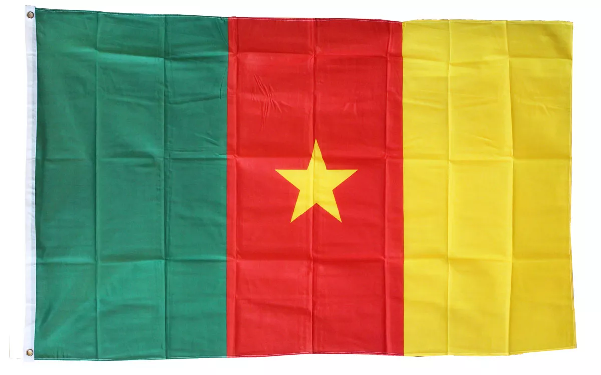 Cameroon - 3'X5' Polyester Flag - Lightweight Polyester, 3' x 5', Without Fringe, Grommets