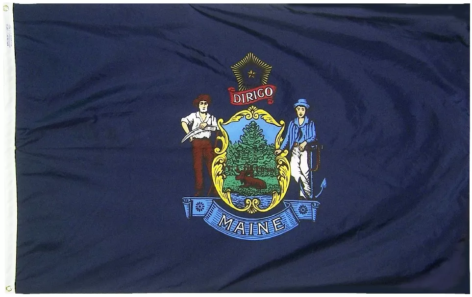 Maine - 6'X10' Nylon Flag - Nylon, 6' x 10', Without Fringe, Grommets, Dyed